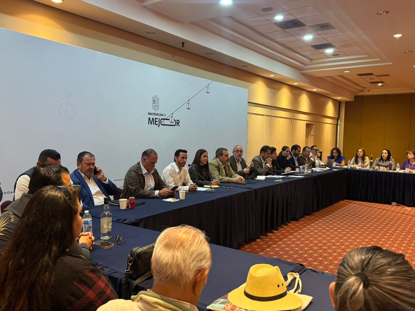 Necesario marco legal que garantice calidad de producción de mezcal en Michoacán Necesario marco legal que garantice calidad de producción de mezcal en Michoacán