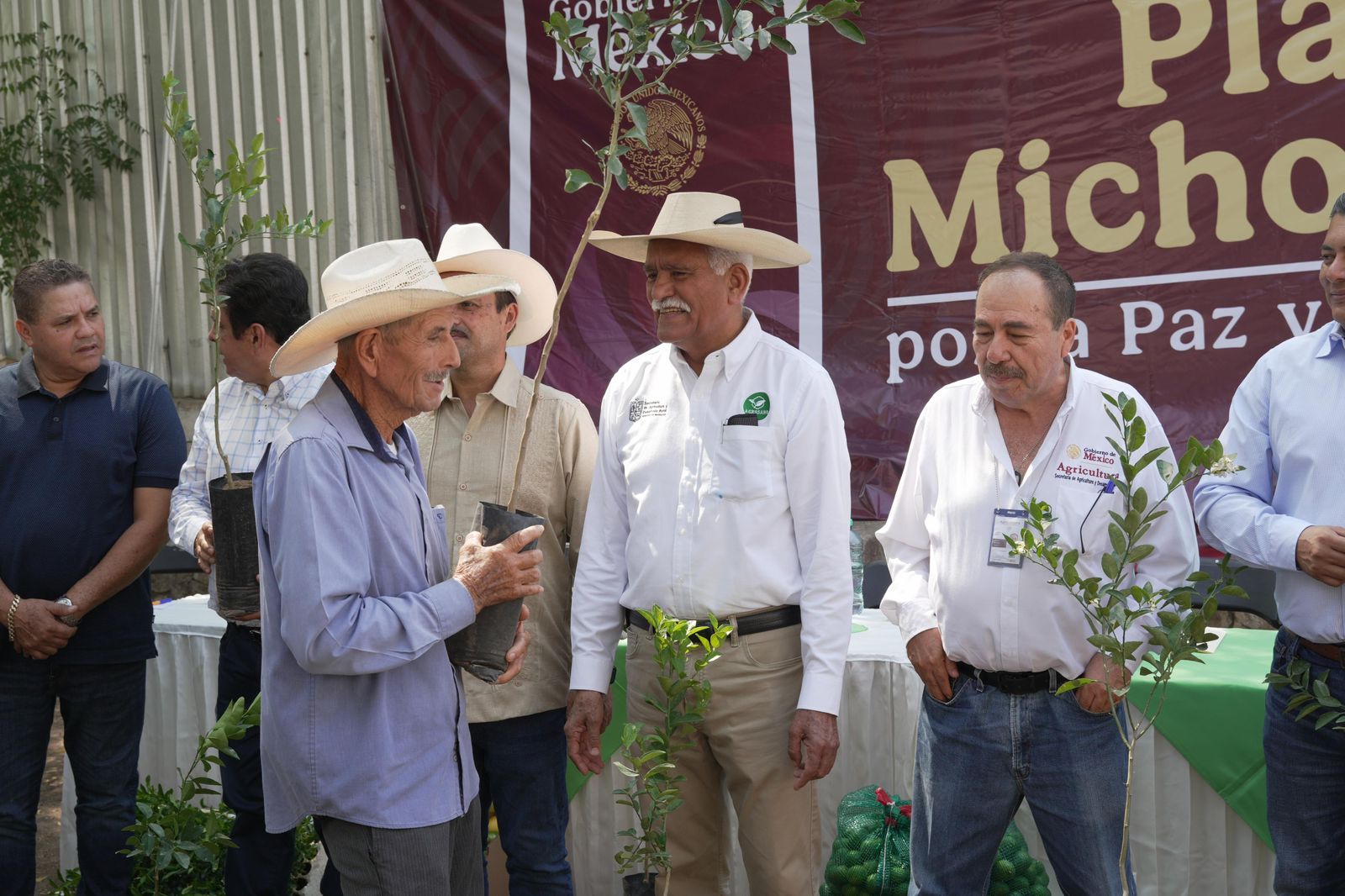 Productores de limón recibirán 150 mil plantas certificadas este año: Sader