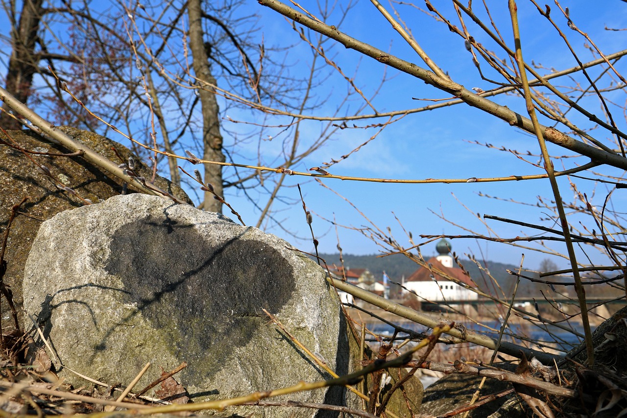 El amor más allá del 14 de febrero El amor más allá del 14 de febrero