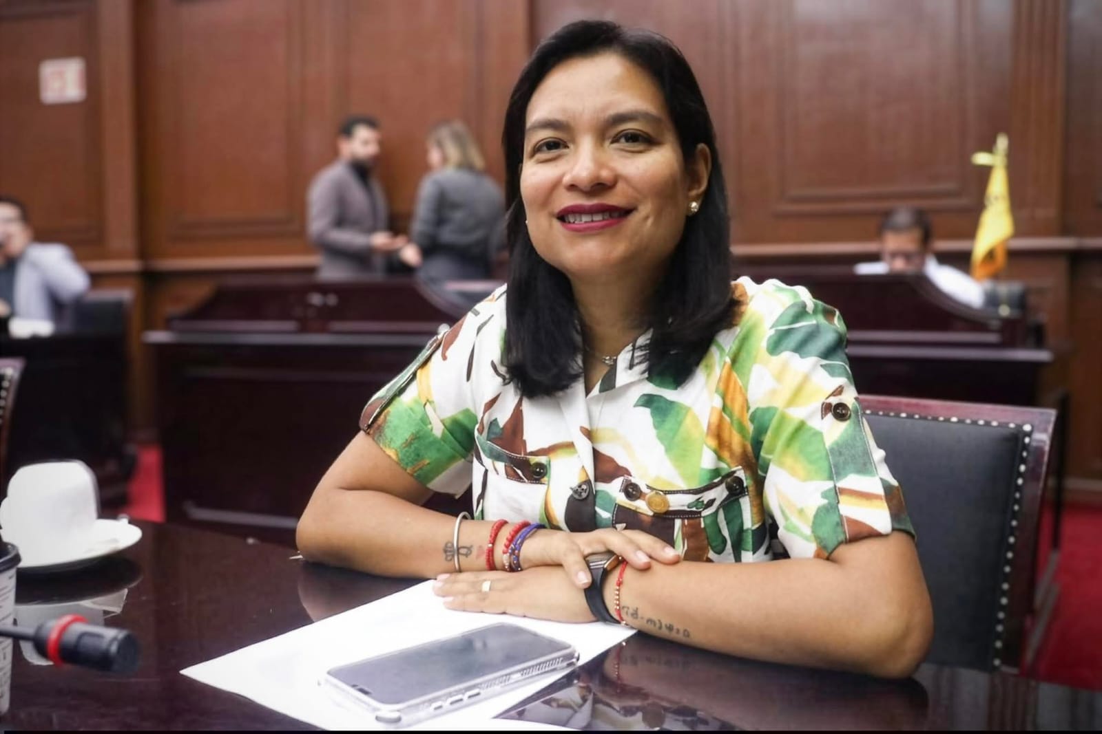 Eréndira Isauro propone regular propaganda digital electoral