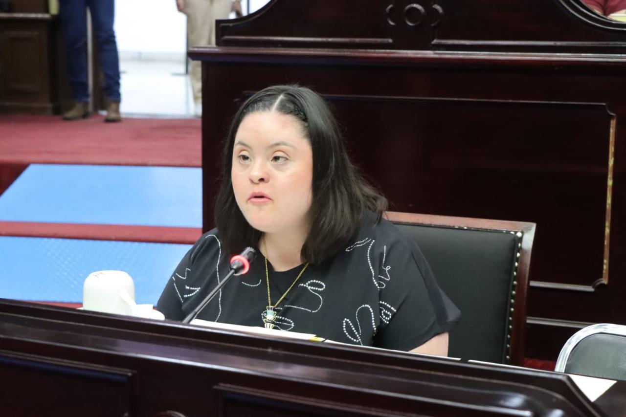 Desde garantías en movilidad hasta enseñanza gratuita de LSM: propuestas del Parlamento con Perspectiva de Discapacidad Desde garantías en movilidad hasta enseñanza gratuita de LSM: propuestas del Parlamento con Perspectiva de Discapacidad