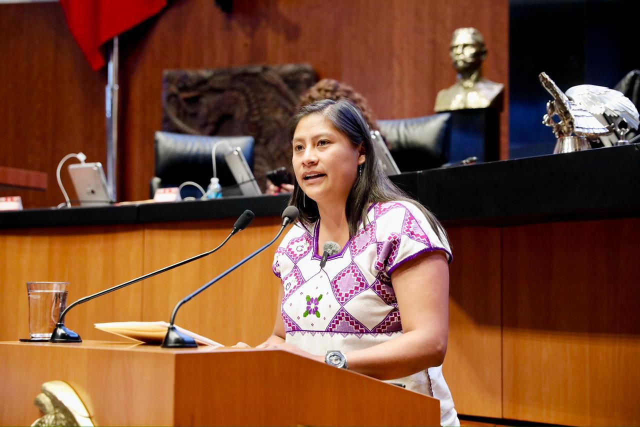 La senadora Celeste Ascencio respalda la reforma constitucional impulsada por la Presidenta Claudia Sheinbaum Pardo