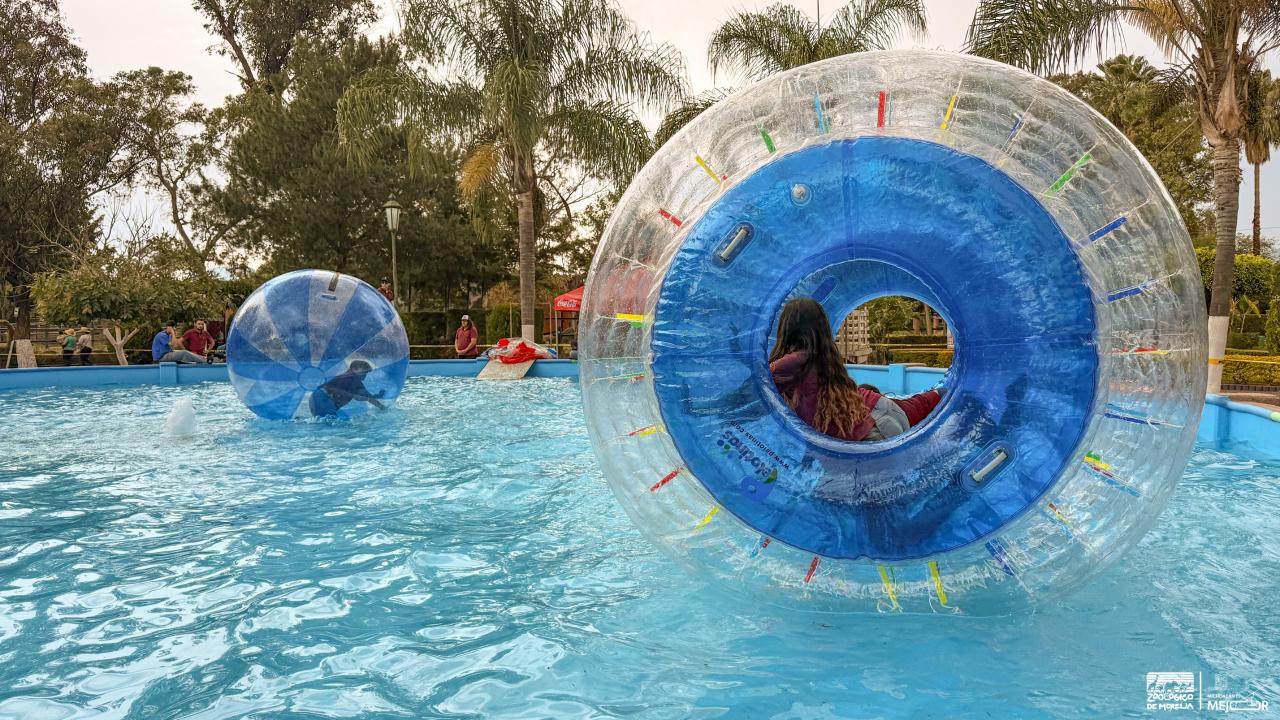 El zoológico estrena atractivos estas vacaciones