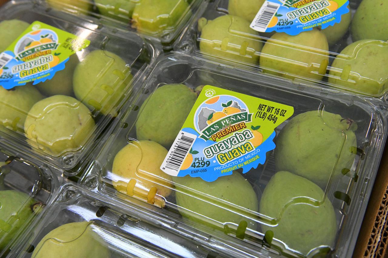 Productores de guayaba tienen hasta el 19 de abril para solicitar la Indicación Geográfica