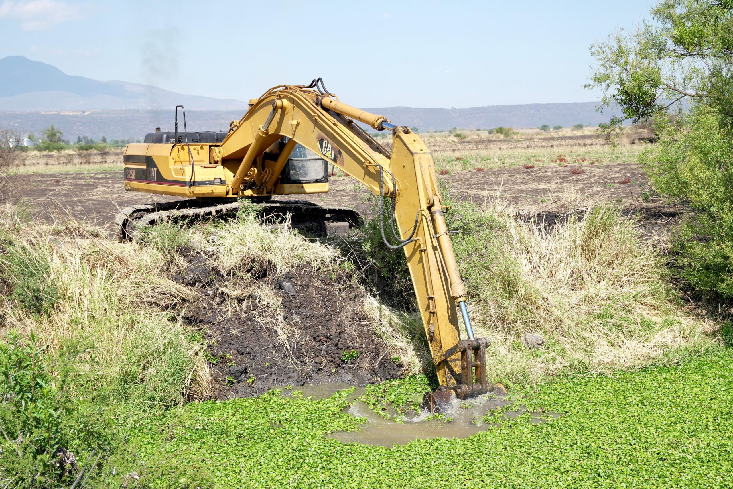 Rehabilitación del dren Penjamillo garantiza la producción de sorgo y maíz: Sader