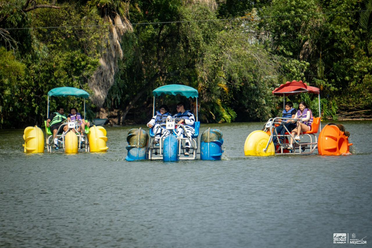 ¡Zoológico de Morelia celebrará el Día de la Niñez en grande!