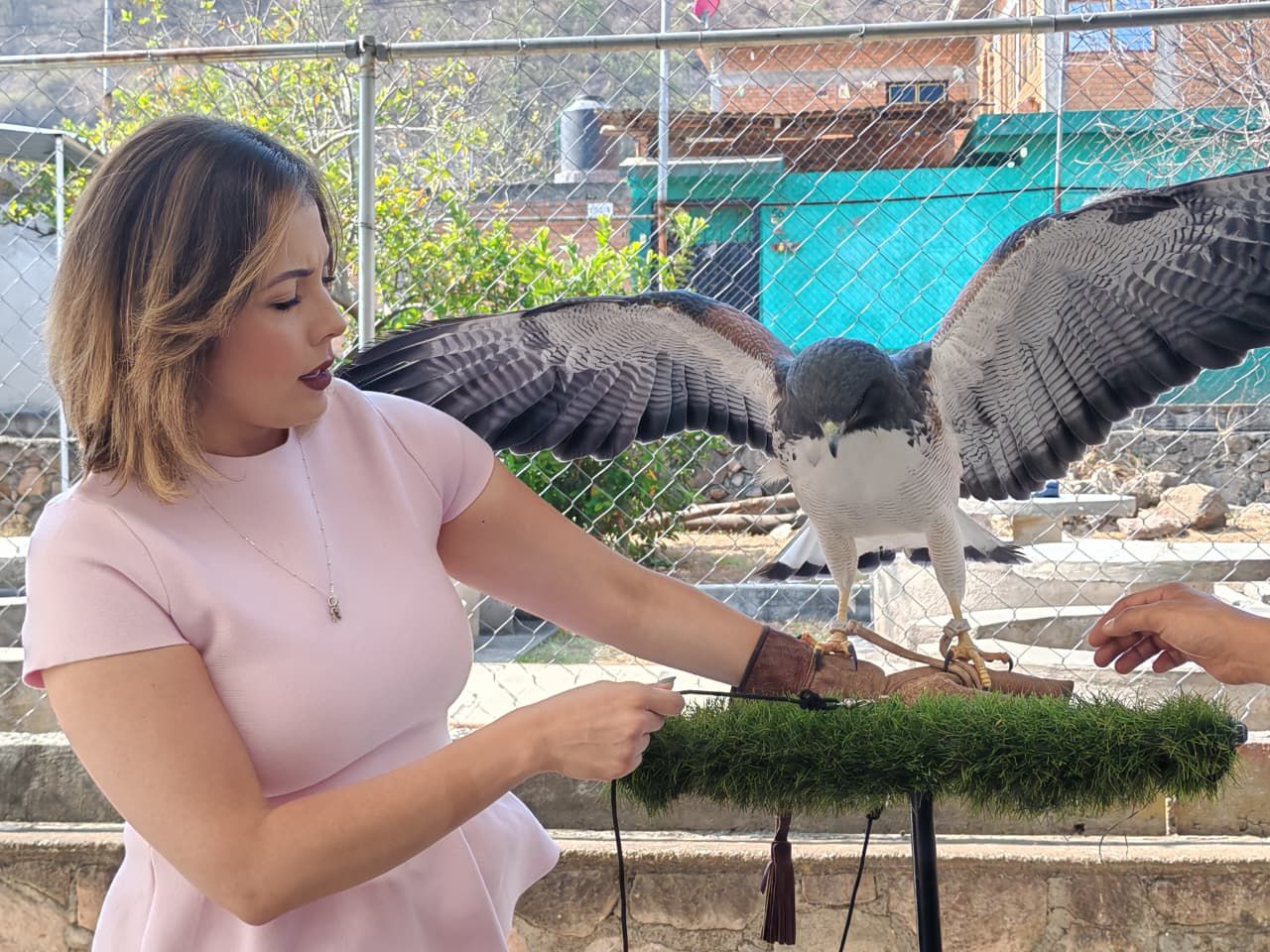 En alianza con el Zoológico, llevamos diversión y conocimiento a niñas y niños: Brissa Arroyo