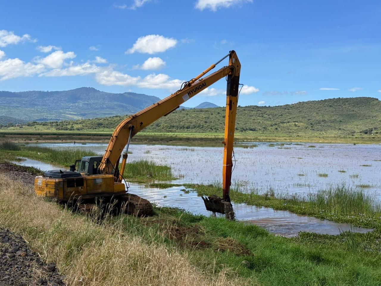 Conagua y Gobierno estatal coordinan limpieza de drenes y canales para prevenir inundaciones