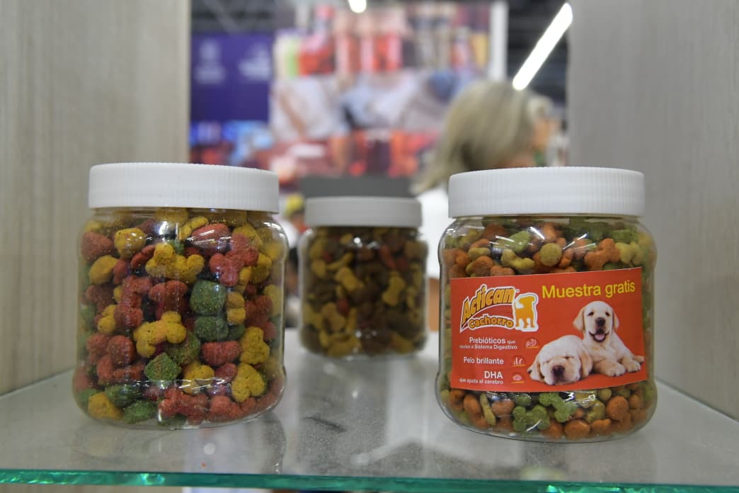 ¡Protege tu negocio casi gratis! Michoacán ofrece 90 % de descuento para registrar tu marca