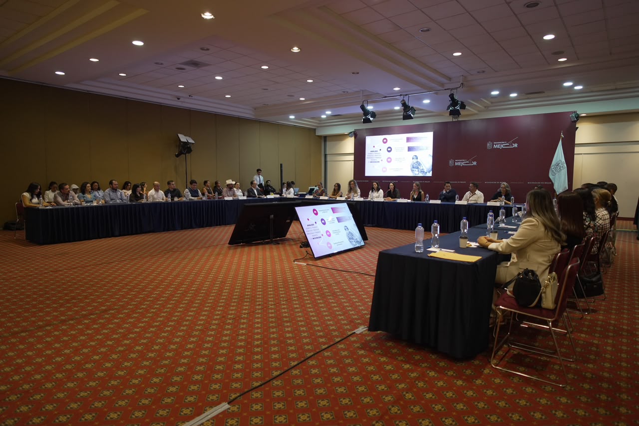 Michoacán avanza en la prevención y erradicación del trabajo infantil Michoacán avanza en la prevención y erradicación del trabajo infantil