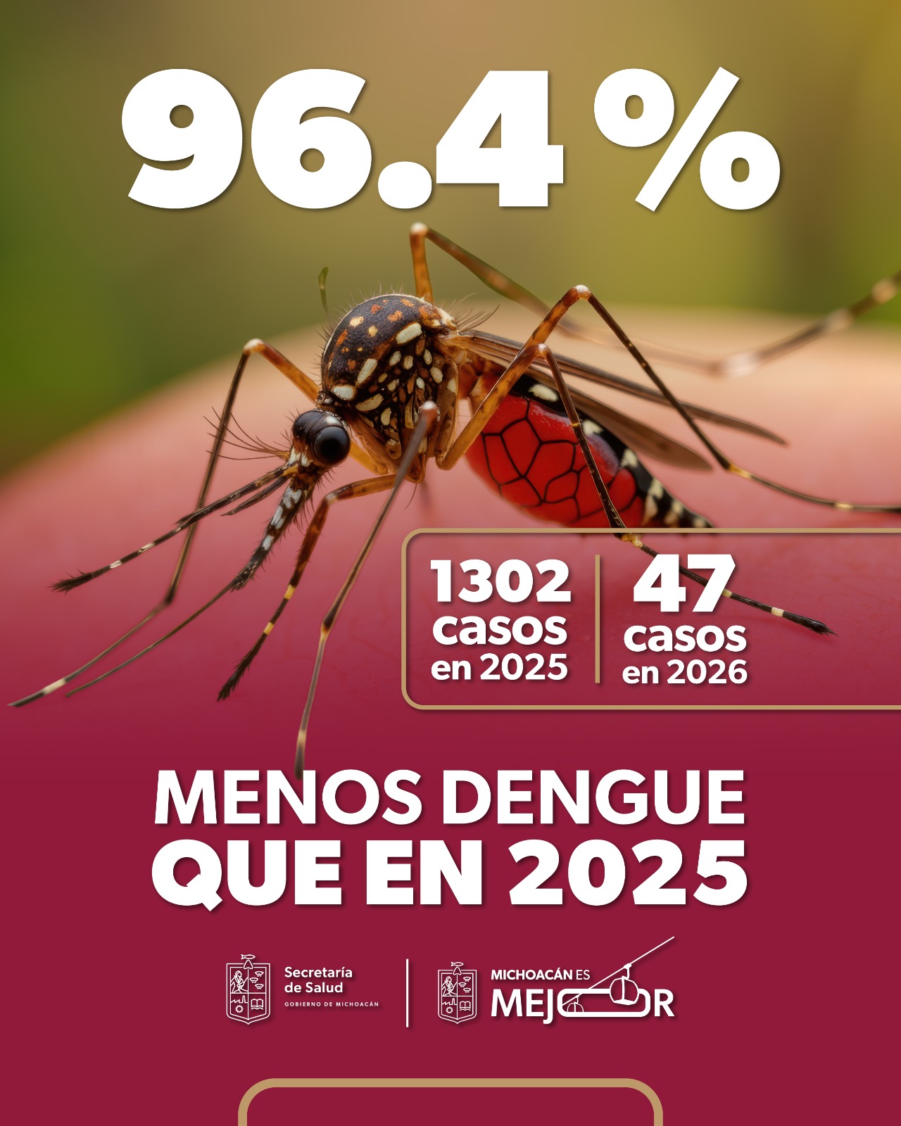 Disminuyen 96.4% los casos de dengue en Michoacán: SSM Disminuyen 96.4% los casos de dengue en Michoacán: SSM