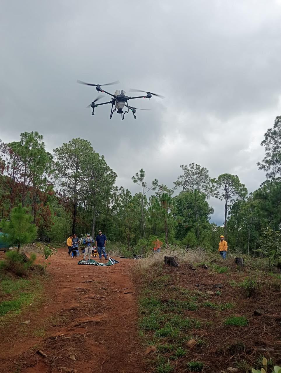 Dispersan 12 mil semillas en Pátzcuaro para restaurar el Estribo Grande