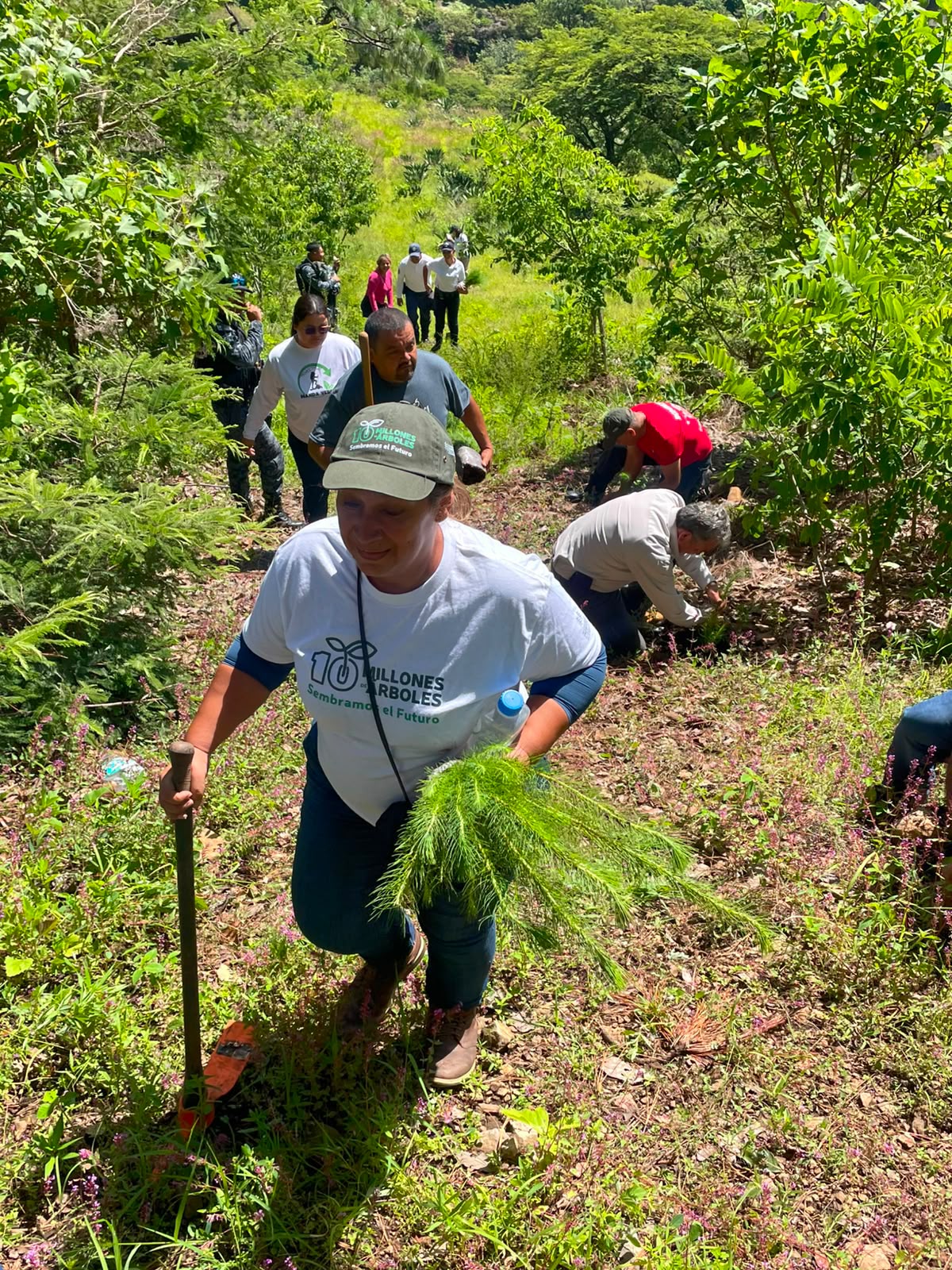 Priorizan rescate de cuencas y Áreas Naturales Protegidas en reforestación estatal