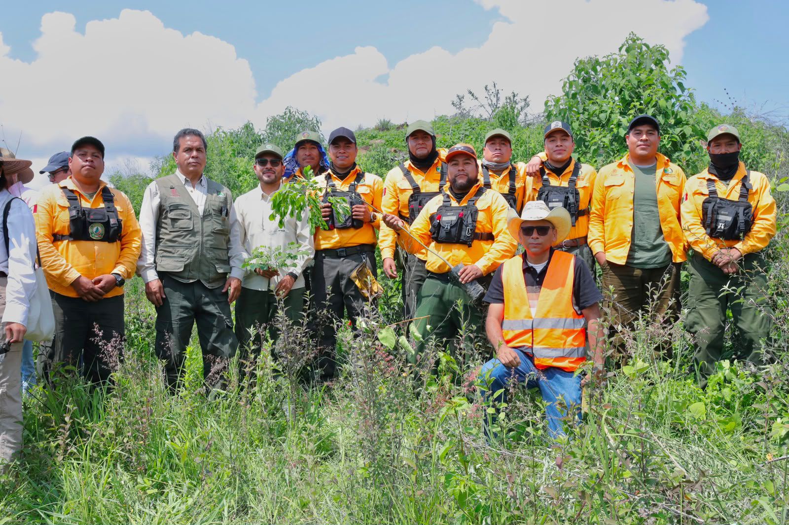 Michoacán va por récord verde; inicia ARB campaña para plantar 13 millones de árboles