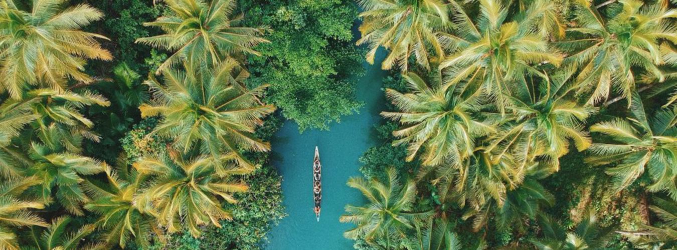 El futuro le pertenece a las zonas tropicales