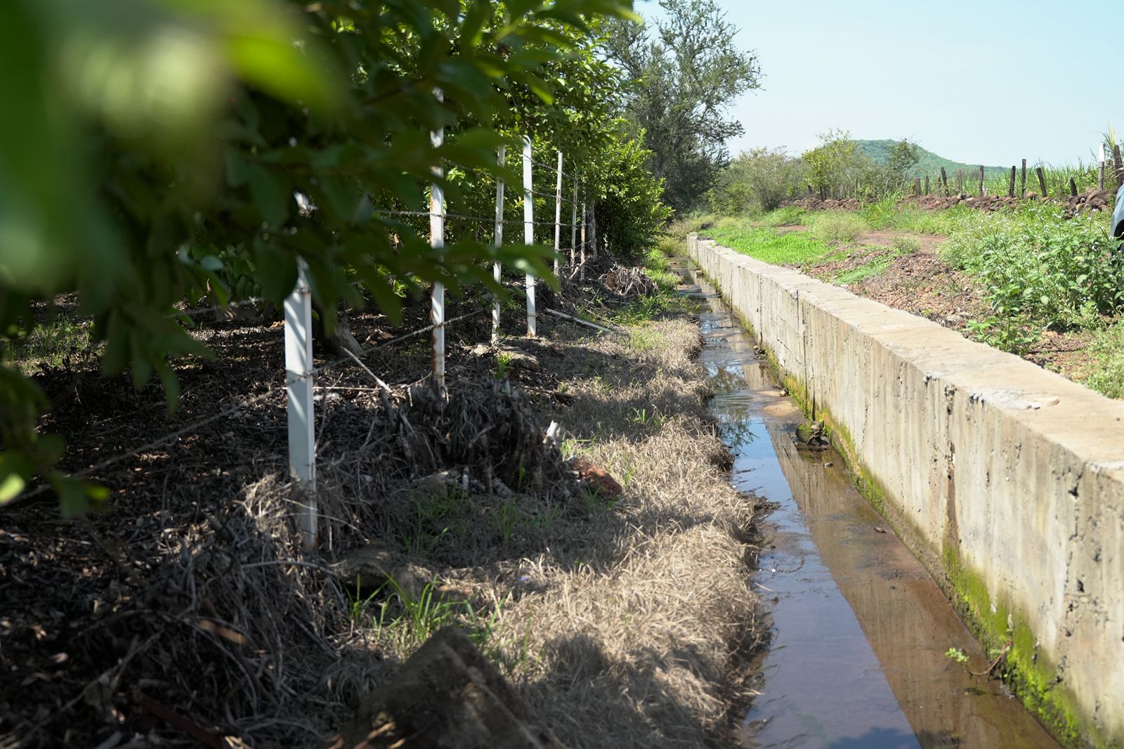 Invierte Sader más de 6.1 mdp para optimizar el uso del agua en cultivos de Taretan