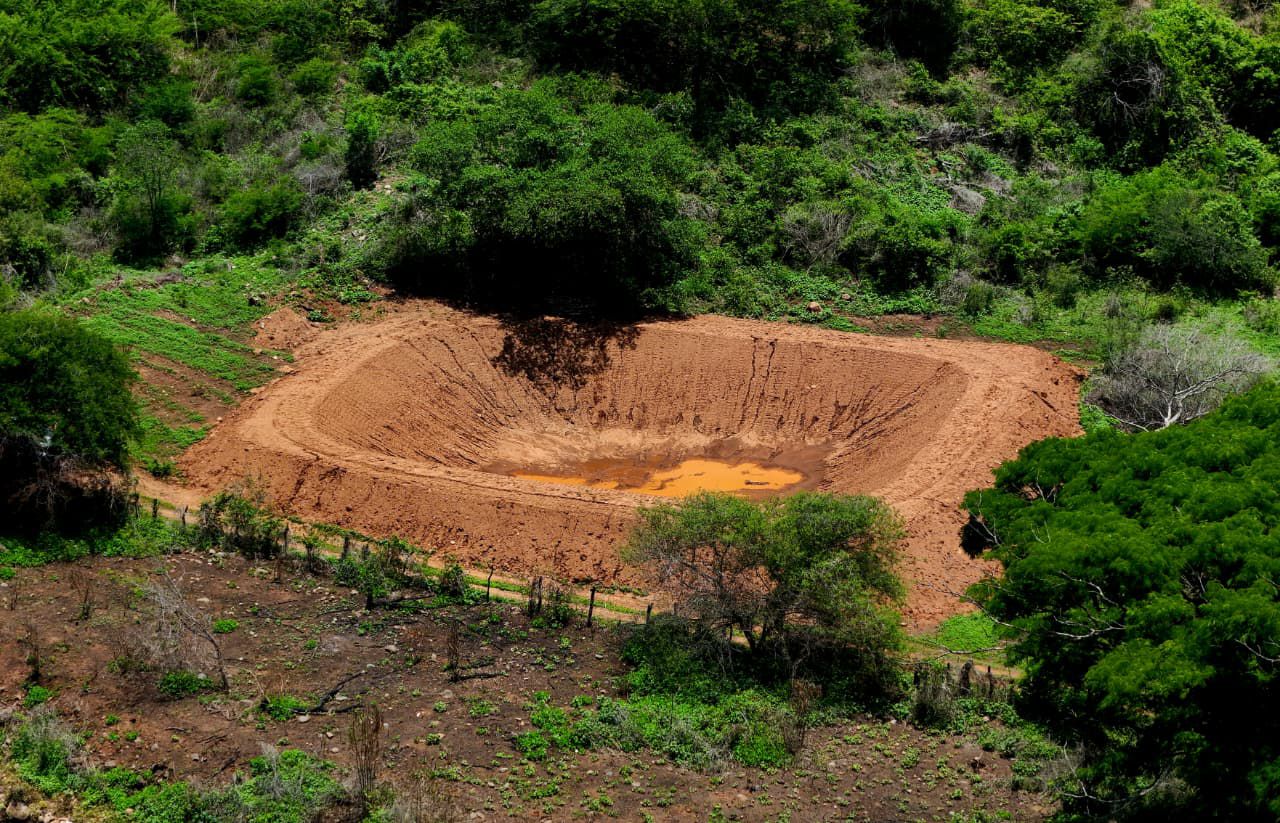 Sader construye y rehabilita 11 bordos para abrevadero en Nuevo Urecho Sader construye y rehabilita 11 bordos para abrevadero en Nuevo Urecho