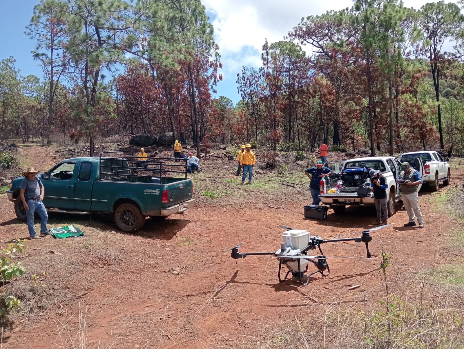 Drones reforestan las zonas más inaccesibles de Michoacán con programa Bio Renace Drones reforestan las zonas más inaccesibles de Michoacán con programa Bio Renace