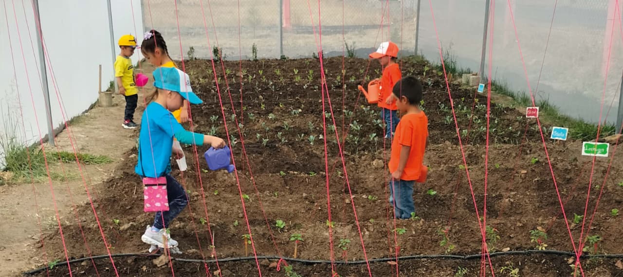 Atlas Pedagógico destaca prácticas ambientales de docentes michoacanos
