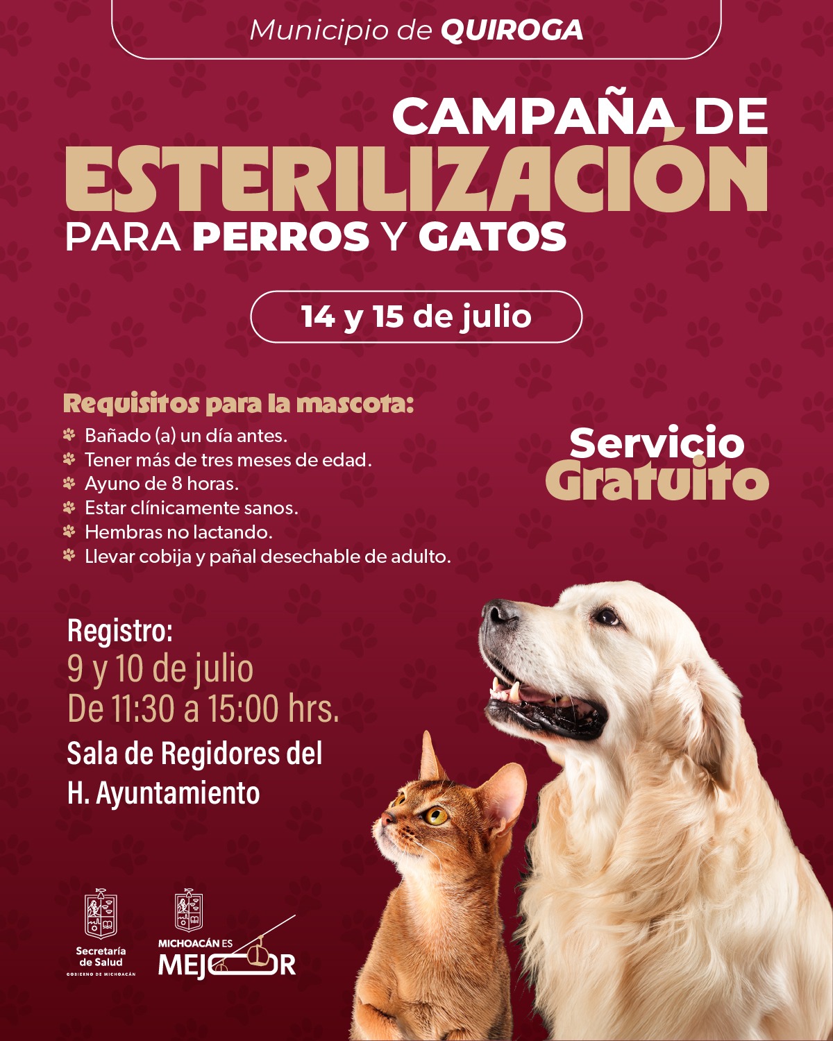SSM llevará jornada gratuita de esterilización animal a Quiroga SSM llevará jornada gratuita de esterilización animal a Quiroga