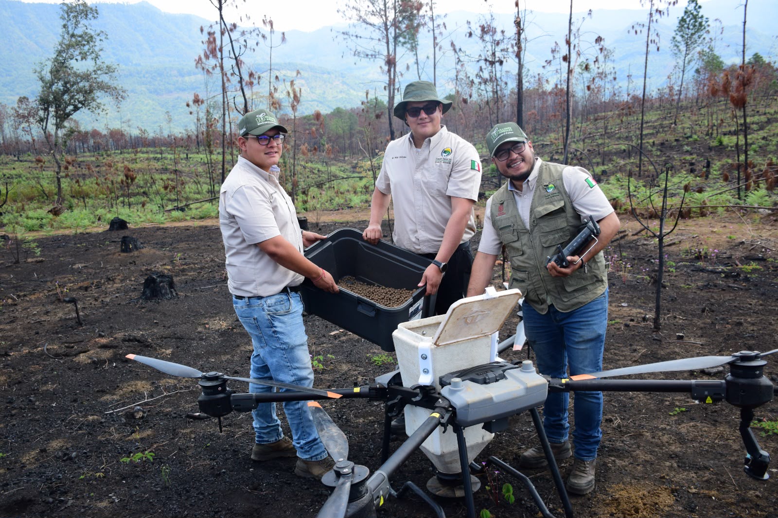 Así es la tecnología de las semillas que reforestan los bosques michoacanos Así es la tecnología de las semillas que reforestan los bosques michoacanos
