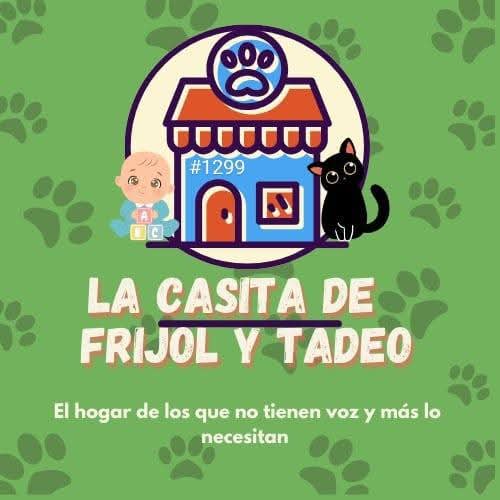 Una oportunidad para cambiar vidas: La Casita de Frijol invita a adoptar este 12 de julio Una oportunidad para cambiar vidas: La Casita de Frijol invita a adoptar este 12 de julio