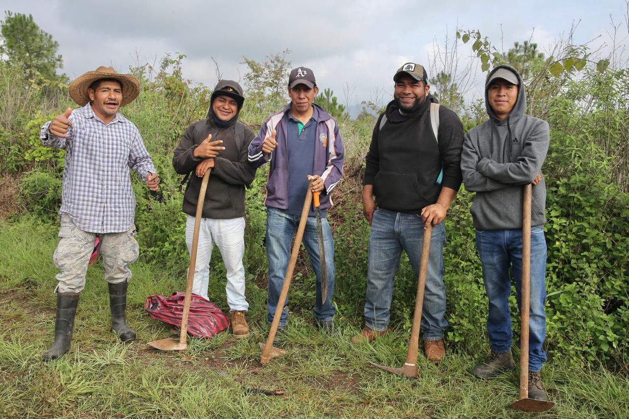 Michoacán referente en cuidado ambiental; plantarán 2.5 millones de árboles en la cuenca del lago de Pátzcuaro: ARB Michoacán referente en cuidado ambiental; plantarán 2.5 millones de árboles en la cuenca del lago de Pátzcuaro: ARB