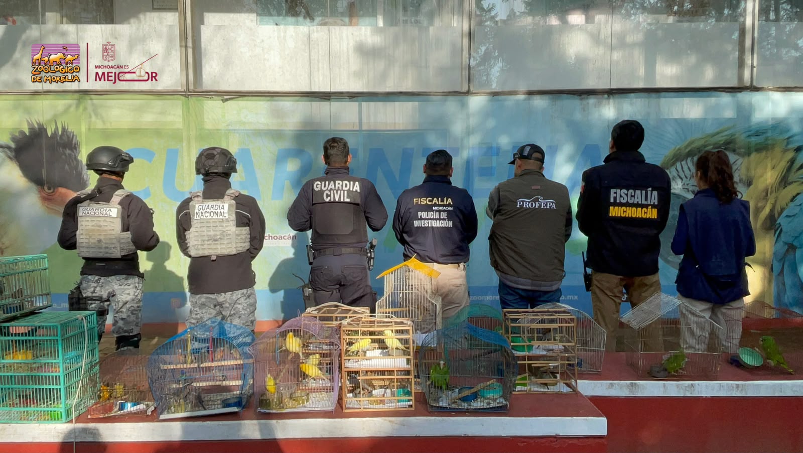 Recibe Zoológico de Morelia 83 aves aseguradas por Profepa