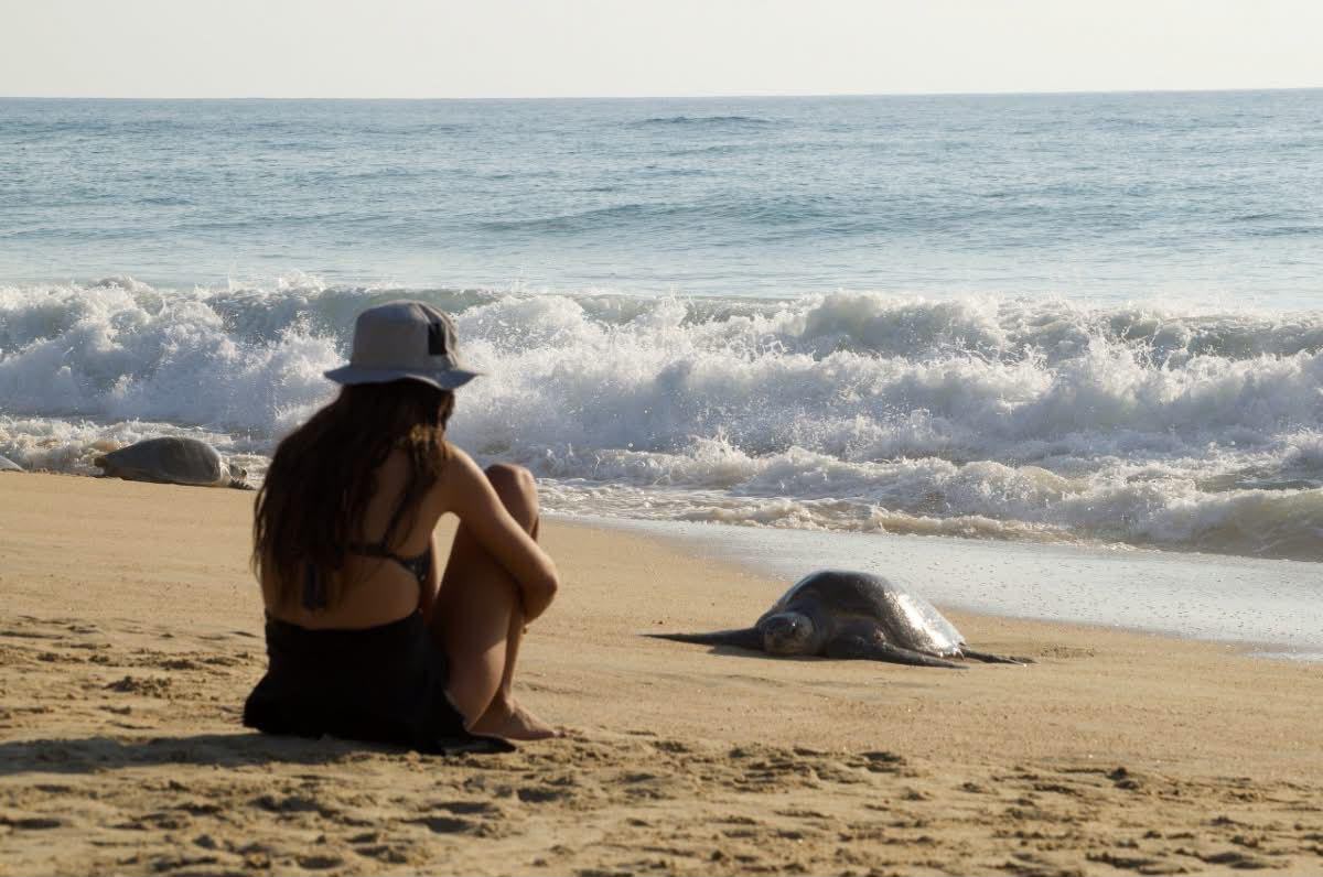 Las playas de Michoacán te esperan para una escapada inolvidable este verano