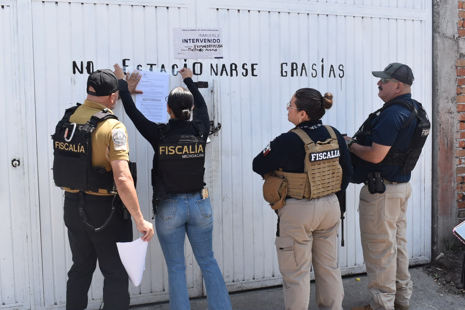 FGE investiga posible caso de maltrato animal tras cateo en Morelia; asegura restos de un ovino