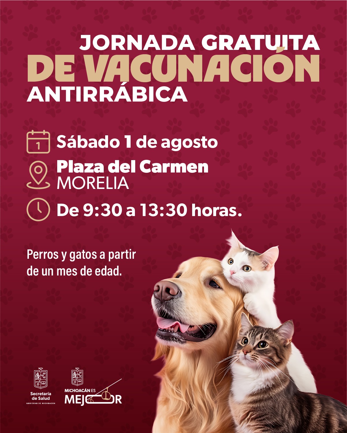 Vacunación antirrábica gratuita para perros y gatos en la Plaza del Carmen