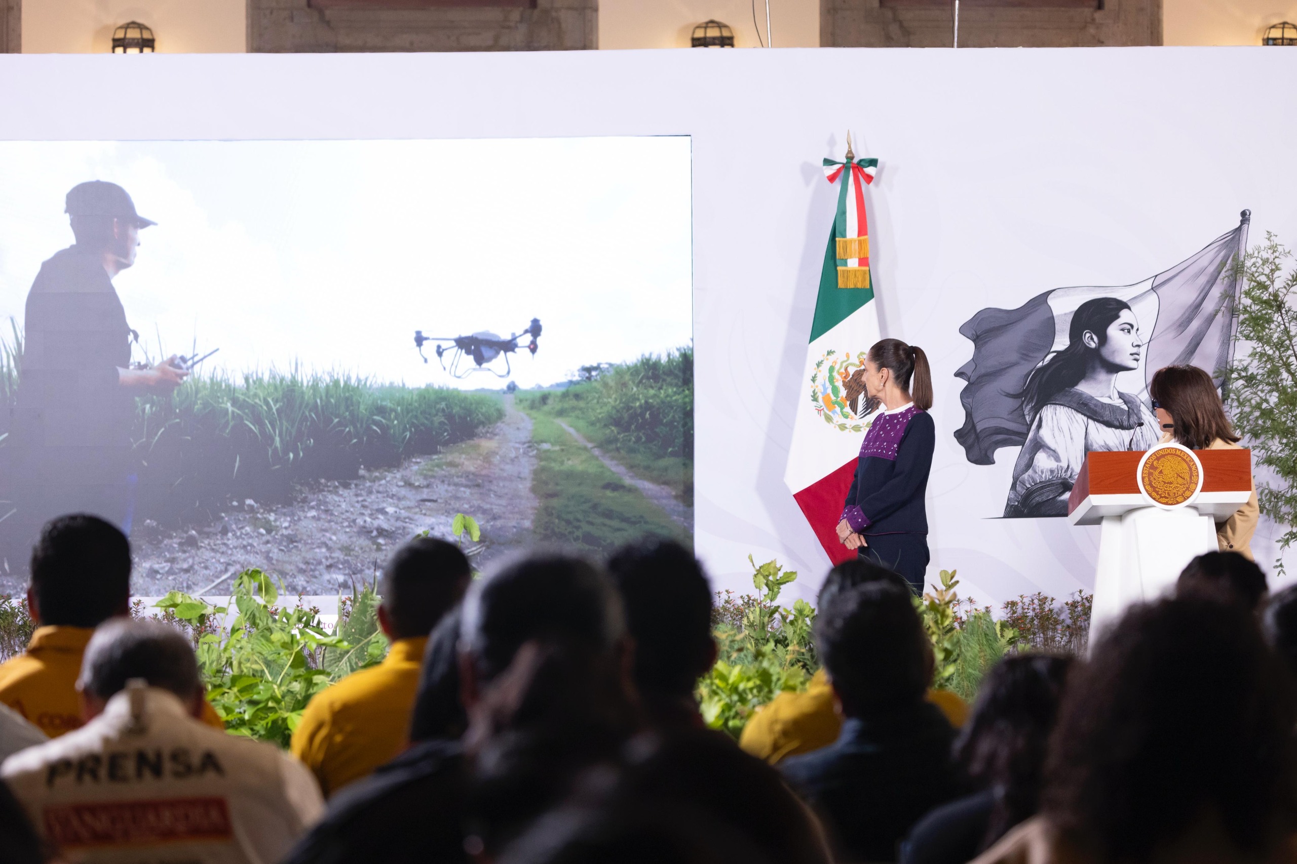 Michoacán se sumará a la Jornada Nacional de Reforestación con 13 millones de árboles este año: ARB