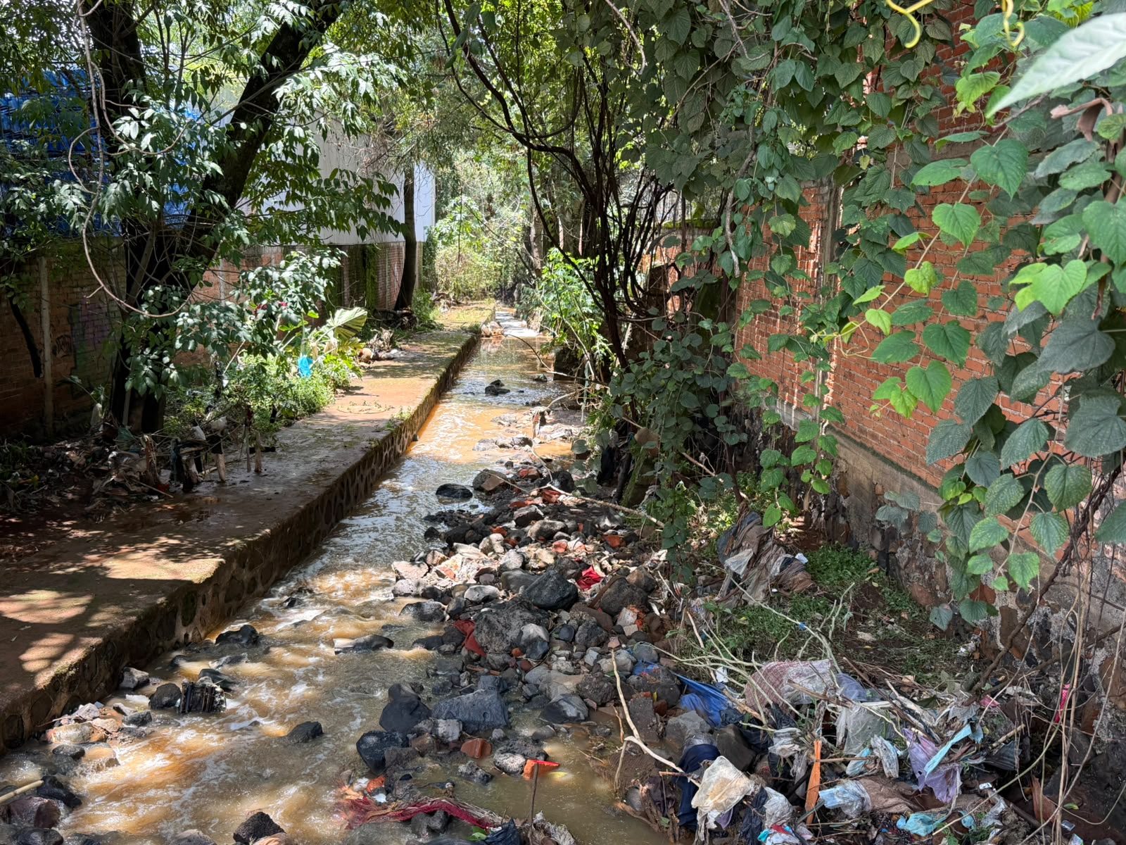Conagua Michoacán detecta 7.5 kilometros invadidos en el borde del río Guani en Pátzcuaro