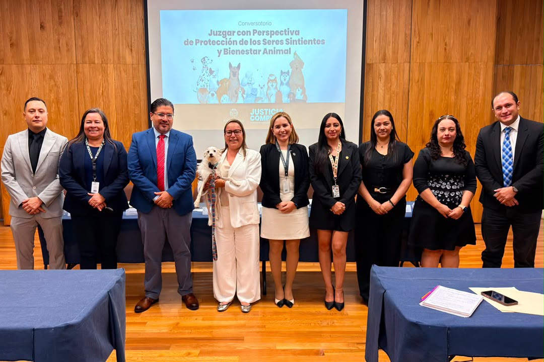 Impulsa Poder Judicial de Michoacán reflexión sobre la protección de los seres sintientes y el bienestar animal
