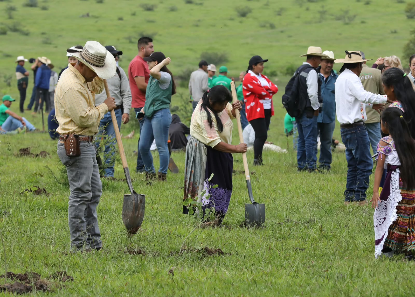 Más de 10 mil michoacanos se suman a la Jornada Nacional de Reforestación: ARB