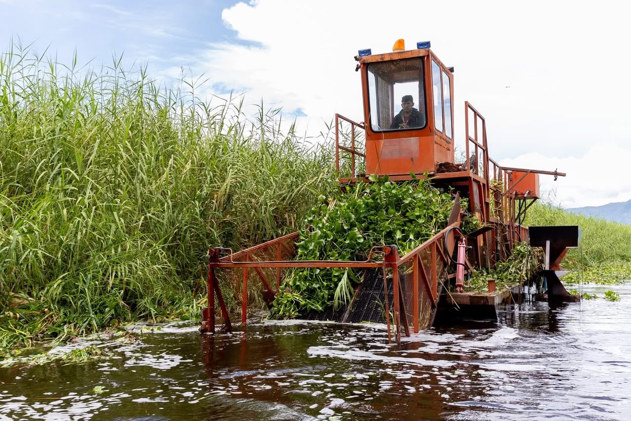 Intensifican trabajos de recuperación en el lago de Cuitzeo con maquinaria especializada Intensifican trabajos de recuperación en el lago de Cuitzeo con maquinaria especializada