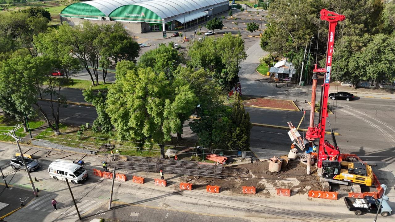 Más de 20 mil árboles transformarán Morelia junto con el Morebús: Sedum