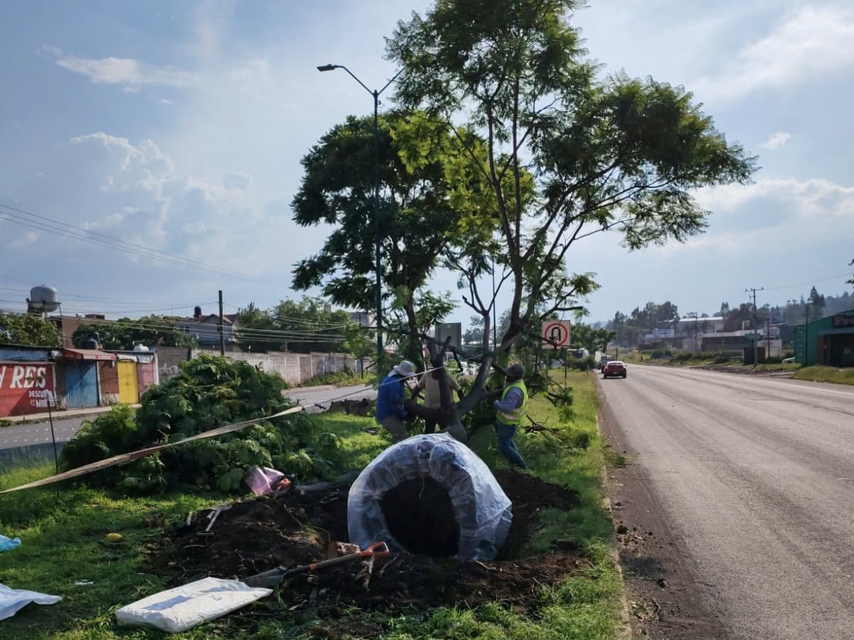 Cumple Gobierno del Estado con permisos ambientales del Morebús otorgados por el Ayuntamiento de Morelia Cumple Gobierno del Estado con permisos ambientales del Morebús otorgados por el Ayuntamiento de Morelia