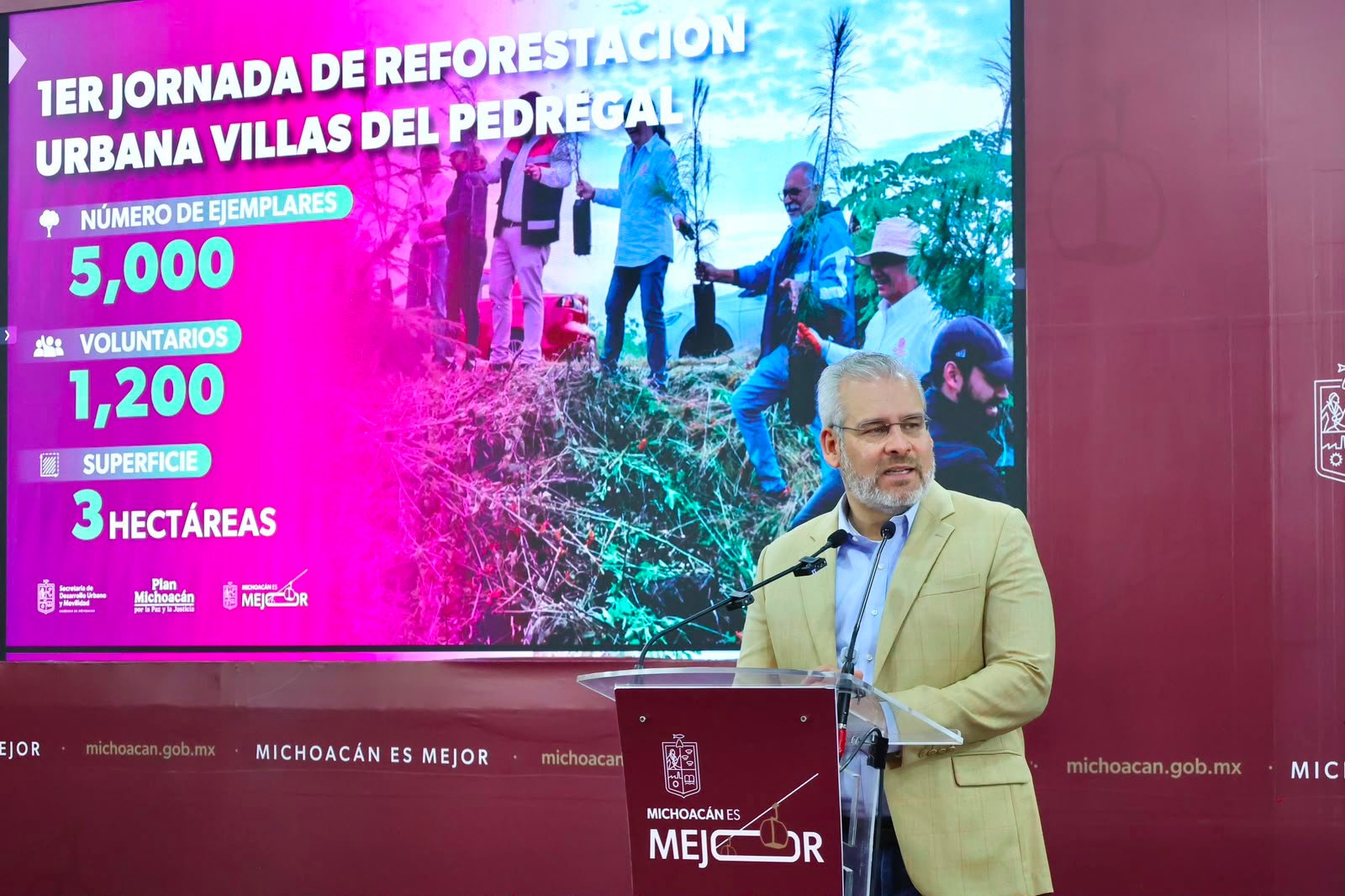 Arbolado de Tres Puentes se conserva; solo 27 ejemplares serán trasplantados: ARB