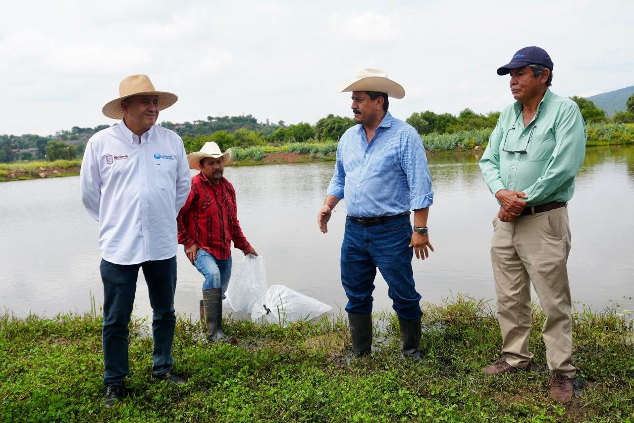 Compesca dona 100 mil crías de tilapia para fortalecer producción pesquera en Morelia
