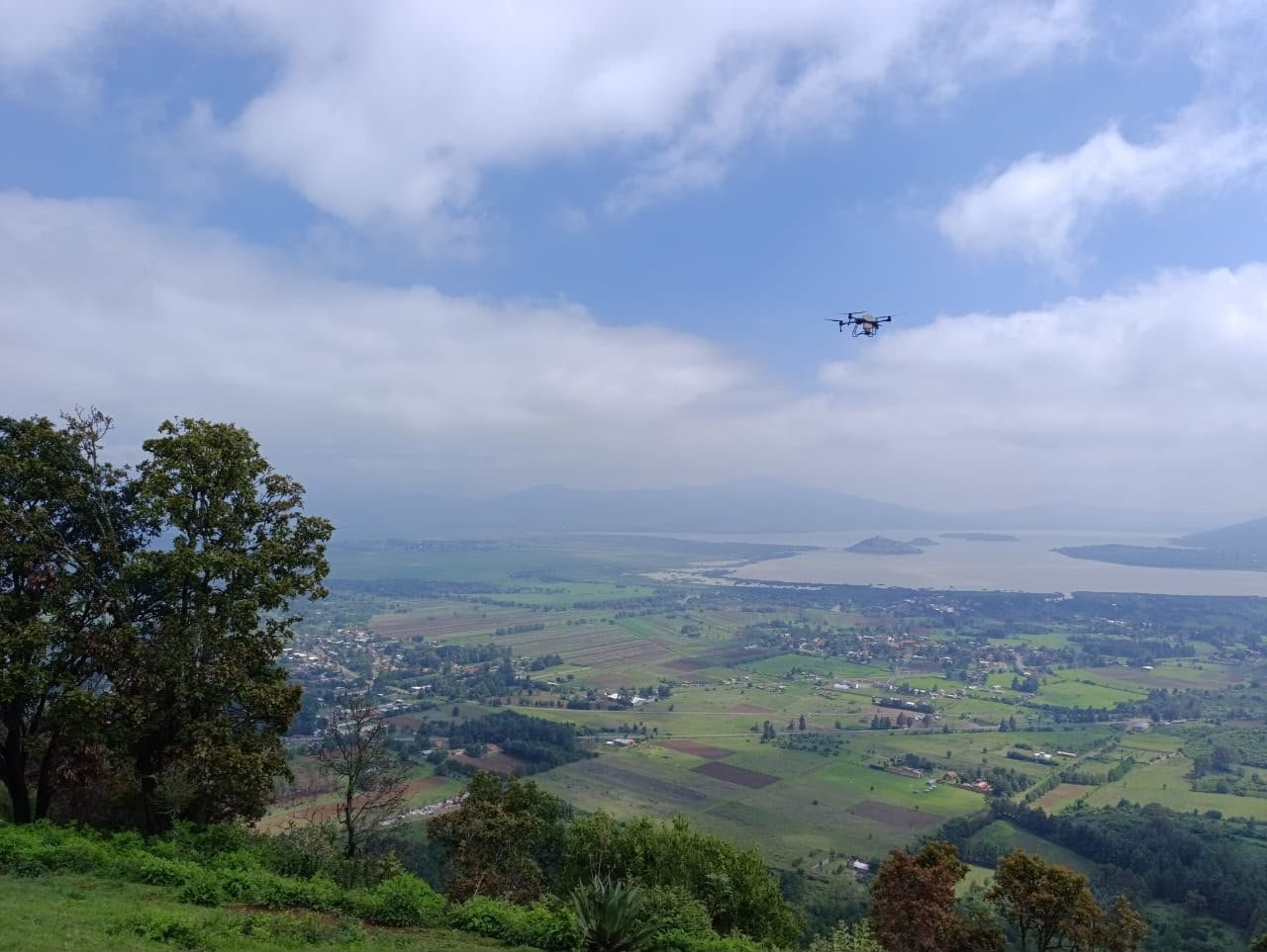 Michoacán dispersa 660 mil semillas con drones para restaurar zonas forestales de difícil acceso Michoacán dispersa 660 mil semillas con drones para restaurar zonas forestales de difícil acceso