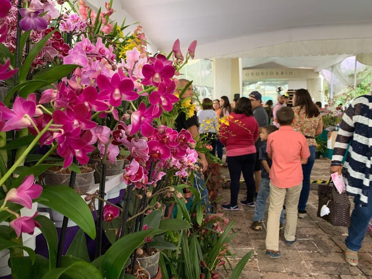 Ceconexpo invita a disfrutar de la Expo Orquídeas y Plantas 2026 en Morelia