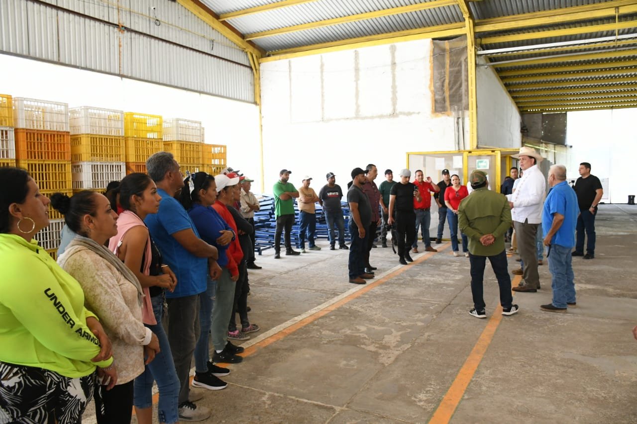 Gobierno del Estado pretende despojar a productores de mango de una empacadora en Múgica