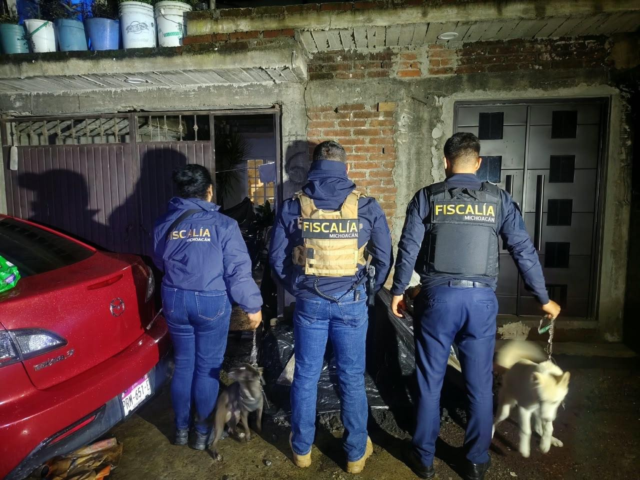 Cumplimenta FGE orden de cateo y asegura dos caninos en Uruapan