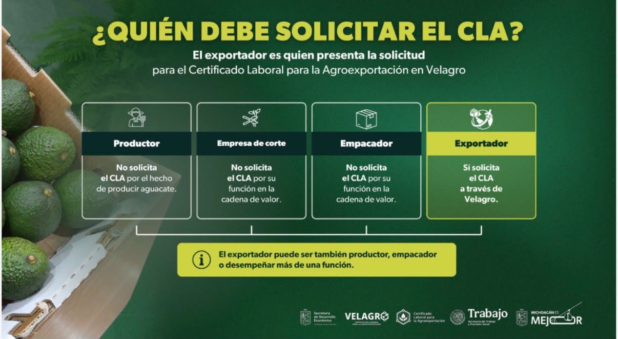 Huertas familiares de aguacate, con menos de 5 hectáreas, no están obligadas al Certificado Laboral